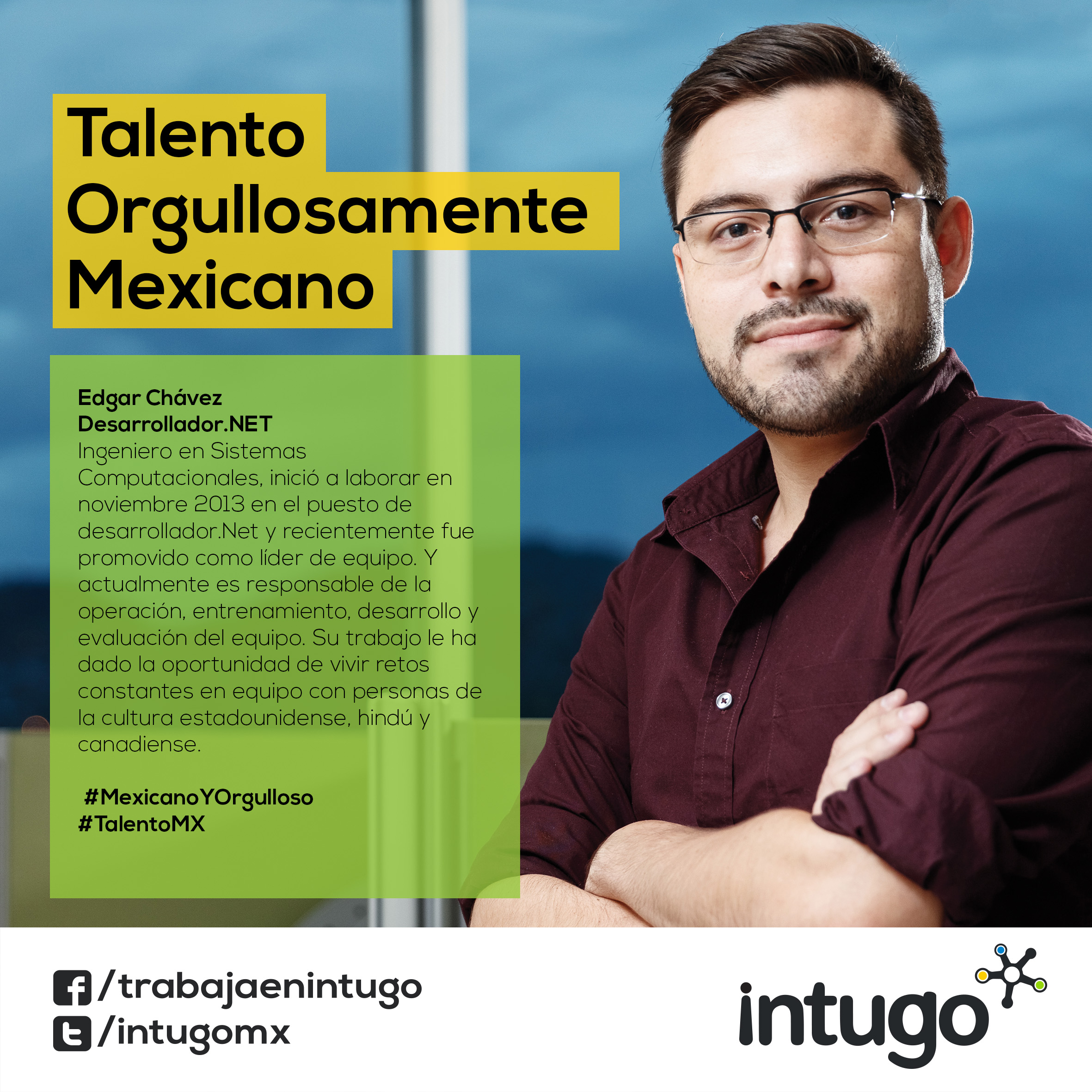 .NET Developer Intugo