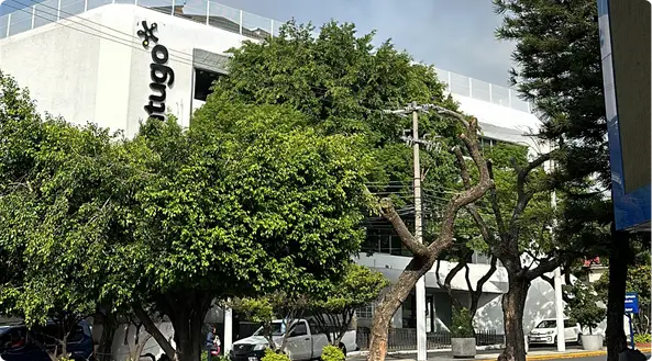 Intugo Sites: Guadalajara