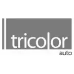 Auto Insurance Firm Operating as a Client Through Intugo’s Nearshore Staffing Model